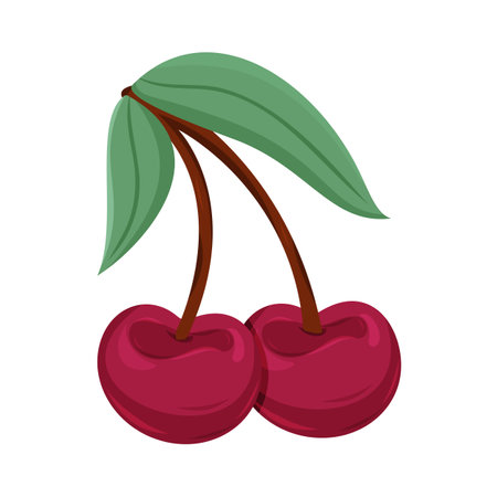 Bunch of ripe cherries with green leaves on a white background