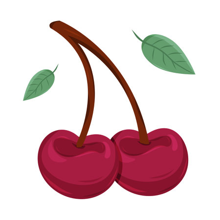 Two shiny red cherries with green leaves display a fresh look.のイラスト素材