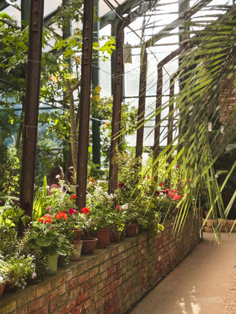 Lively flowers and greenery evoke serenity along a garden path.