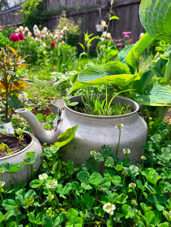Unique garden with vintage teapot planter and vibrant flowers in bloomの写真素材