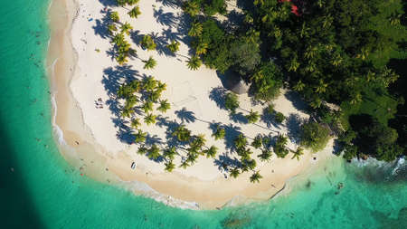 white island in the sea with green palm treesの写真素材