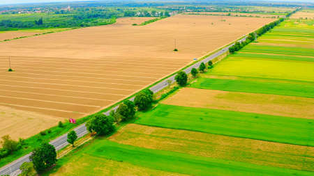 bright fields and the road between themの写真素材