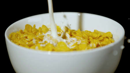 breakfast cereal in a white plateの写真素材