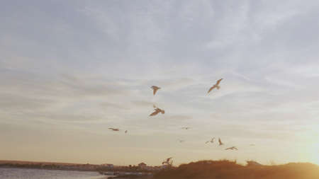 sunset, sun, nature, sunrise, summer, pink, mountains, blue, aesthetic, landscape, cool, retro, cute, trendy, orange, vsco, adventure, ocean, vintage, travel, beach, happy, sky, forest, vaporwave, rainbow, yellow, tumblr, trees, pastelの写真素材