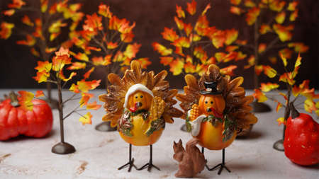 flat lay, food flatlay, flat lay background, top view background, top view, pumpkin pie, food top, thanksgiving background, food top view, thanksgiving, thanksgiving food, pumpkin background, autumn food, food wood, food event, food frame, pie, food background, pumpkin, celebration background, event decoration, tasty food, wood frame, wood top view, event, horizontal frame, traditional food, celebration, traditional frame, traditional, event background, background frame, flat frame, traditional background, corn background,の写真素材