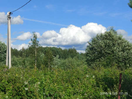 summer natureのeditorial素材