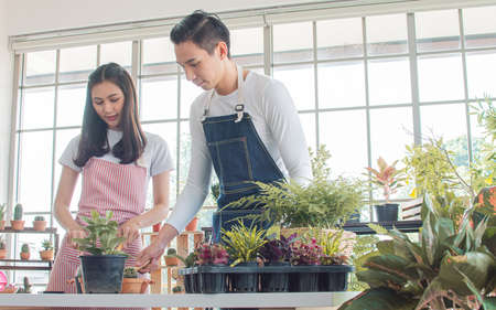 Asian young couple spending time together in holiday and gardening plants at home. Nature, Hobby, Interior and Lover Concept.の写真素材