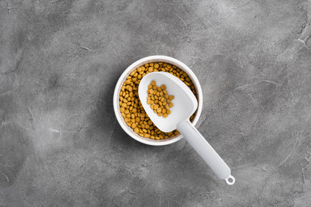 Pet bowl of dry food and measuring spoon on concrete background. Pet care concept. Top view, copy spaceの写真素材