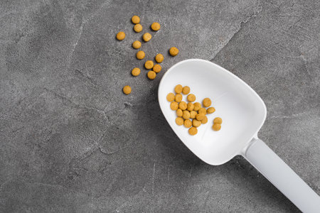 Measuring spoon dry pet food on concrete background. Pet care concept. Top view, copy spaceの写真素材