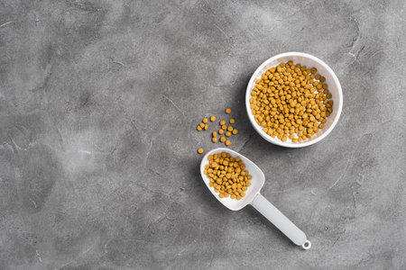 Pet bowl of dry food and measuring spoon on concrete background. Pet care concept. Top view, copy...
