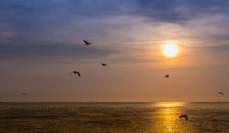 beautiful sky on sunset timeの写真素材