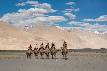 Leh,India - July 11, 2014 : Tourist ride carmels at Hunder village in Nubra Valley, Ladakh, Jammu and Kashmir, Indiaの写真素材