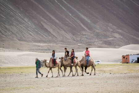 Leh,India - July 11, 2014 : Tourist ride carmels at Hunder village in Nubra Valley, Ladakh, Jammu and Kashmir, Indiaのeditorial素材