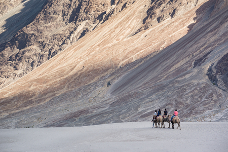 Leh,India - July 11, 2014 : Tourist ride carmels at Hunder village in Nubra Valley, Ladakh, Jammu and Kashmir, Indiaの写真素材