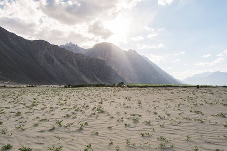 Nubra Valley, Ladakh, Jammu and Kashmir, India.の写真素材