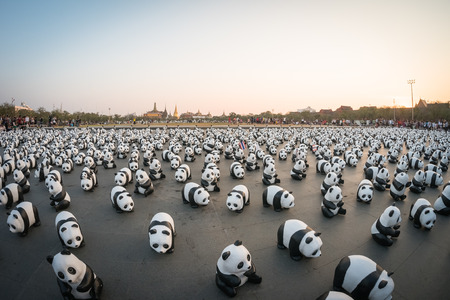 BANGKOK,THAILAND - MARCH 4, 2016 : 1,600 pandas have just arrived in Bangkok as part of their world tour. The papier mache sculptures will be exhibited in Bangkok during March and April 2016.The number 1,600 represents how many pandas are left in the wildのeditorial素材