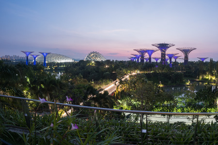 Garden By The Bay at morningのeditorial素材