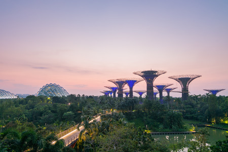 Singapore - March 18, 2016 : Garden by the bay at sunrise.Supertrees are tree-like structures that dominate the Gardens' landscape with heights that range between 25 metres and 50 metres.のeditorial素材