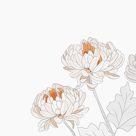 Chrysanthemum flowers design frame. Watercolor botanical illustration.の写真素材