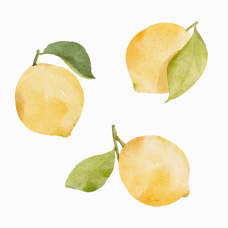 Watercolor set of yellow lemons with green leaves on white background.の写真素材