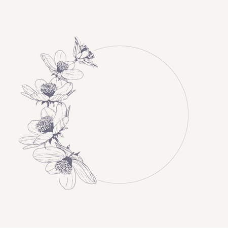 Round frame with anemone flowers. Hand drawn vector illustration.のイラスト素材