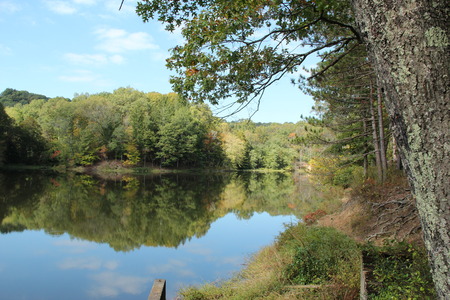 beautiful sceneryのeditorial素材