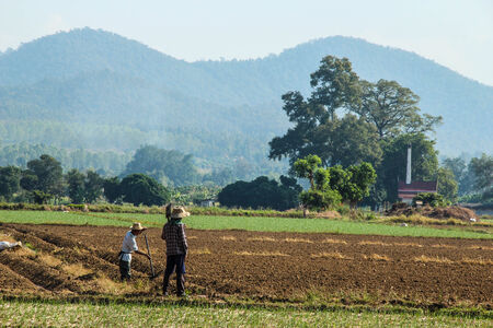 farmer and beautiful farm landの写真素材