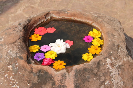 Imitate nature blow with flower on water surfaceの写真素材