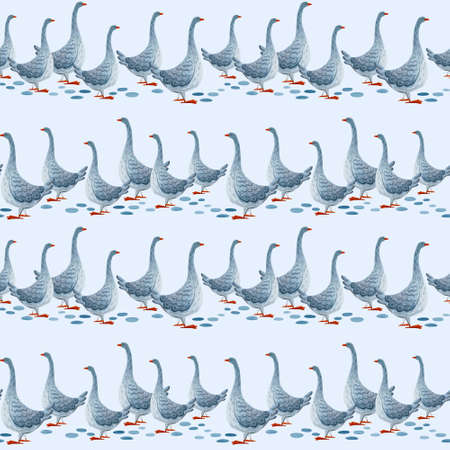 Cute watercolour pattern. Illustration with farm birds.の写真素材