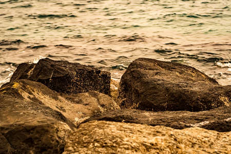 Mediterranean sea, sea scape of stones with algae and low tideの写真素材