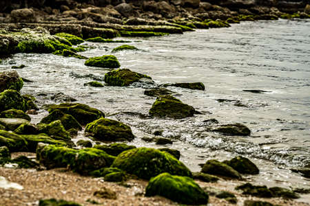 Mediterranean sea, sea scape of stones with algae and low tide