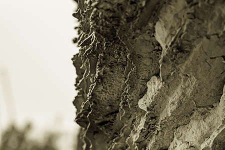 closeup of sandy rock and geological landscape of seashore