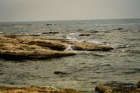 rocks with moss,  rocks with algae
low tide  on the Mediterranean sea