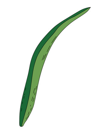Hand drawn long green sheet with a doodle style shadingのイラスト素材