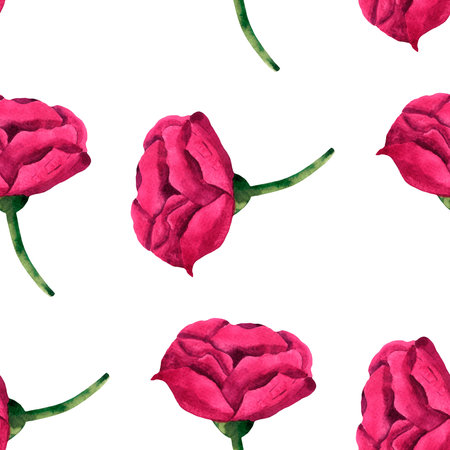 Hand-drawn watercolor pattern of pink peonies, roses and green leavesの写真素材