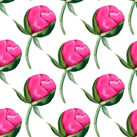 Hand-drawn watercolor pattern of pink peonies and green leavesの写真素材
