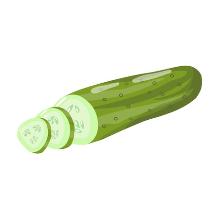 Vector green cucumber with slices, vector vegetable isolated on white backgroundのイラスト素材