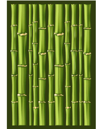 Bamboo backgroundのイラスト素材