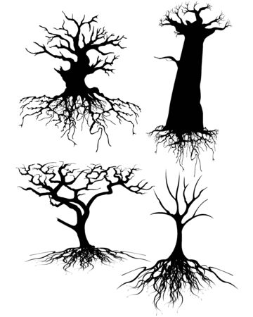 Four different Old tree Silhouettes with rootsのイラスト素材
