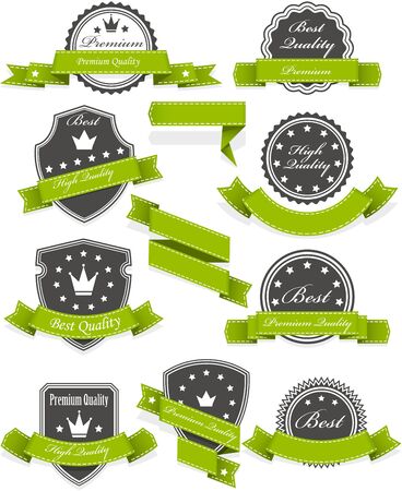 Seals and medals with ribbons - set of blank emblemsのイラスト素材