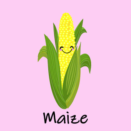 Vector Cartoon Golden Corn. Natural maize icon. Flat illustration of natural maize vector icon for...