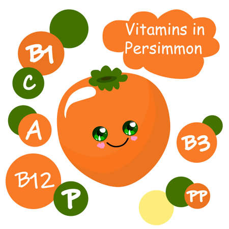 persimmon. tropical fruits. funny comic character. learning words. interactive cards for childrenのイラスト素材