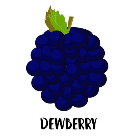 Illustration of cute staring dewberry mascot isolated on light background. Flat design style for...