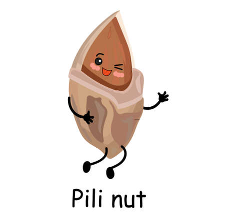 Hawaiian Pili nut. Exotic products. Cute character with arms and legs.のイラスト素材