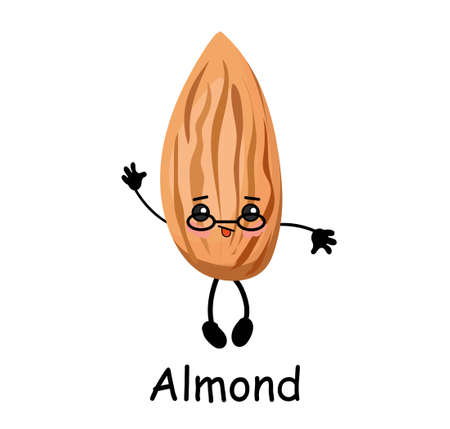 Almond nut character with hands and face. Useful food. Protein.のイラスト素材