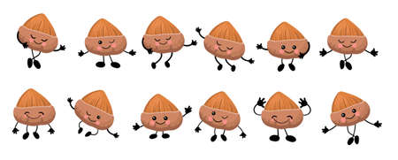 Set of character nuts. Hazelnut with hands and face. Useful food. Protein.のイラスト素材