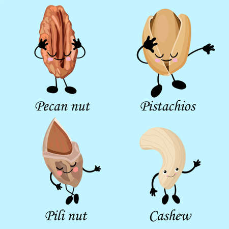 collection of nuts characters. Healthy foods. Vegetarianism and healthy food. Cashews, pistachios, pecans..のイラスト素材