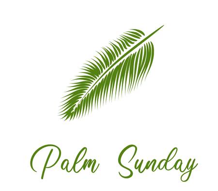 Palm Sunday. The week before Easter. banner or card. palm leaf.のイラスト素材