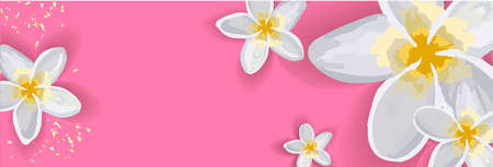 Bright spring background for an inscription. The flowers are white. Lily. Horizontal banner without text.のイラスト素材