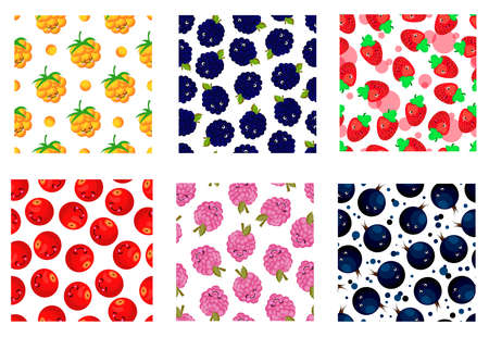 Set of berry patterns. Blackcurrant, cloudberries, strawberries, raspberries and blackberries. Fruit...